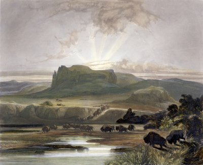Herd of Bison on the Upper Missouri, plate 40 from Volume 2 of 